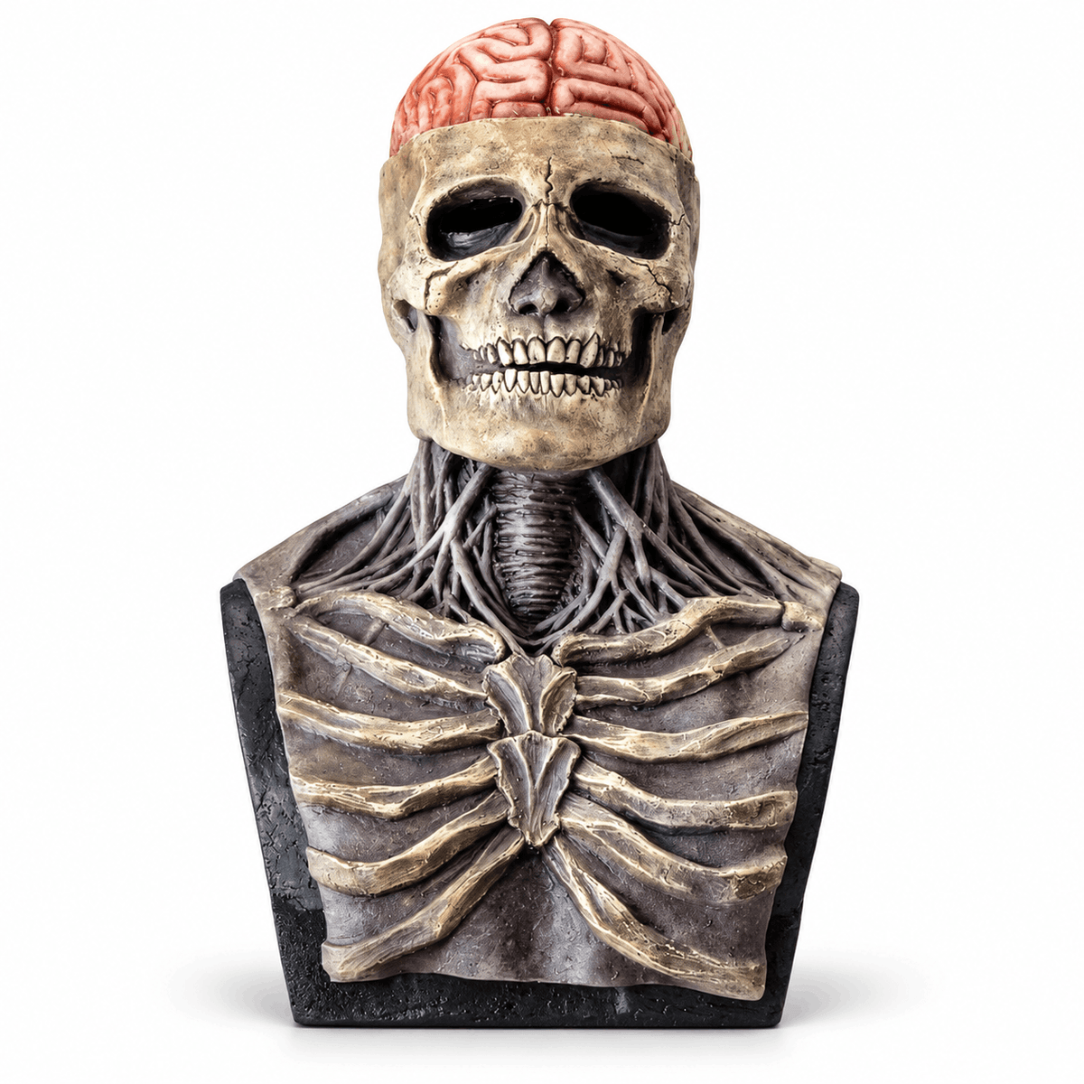 Mască de Halloween cu craniu și creier expus BlackAirsoft NECRO